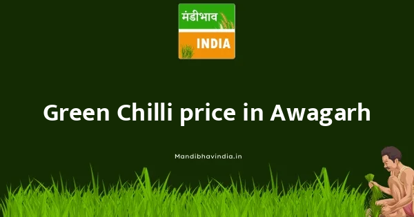 Green Chilli price